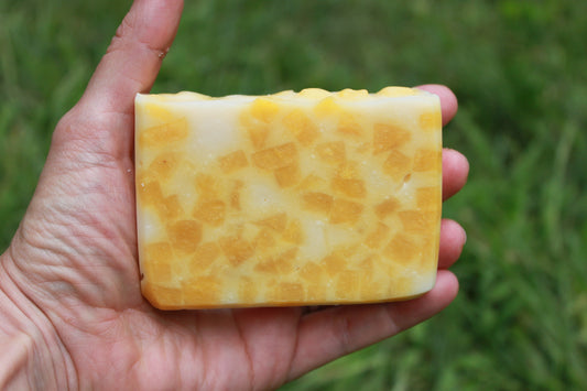 Pumpkin Patch (Artisan Soap)